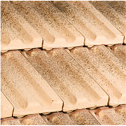 Frigya Ateşi Kılıçoğlu 1