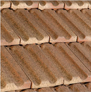 Hitit Ateşi Kılıçoğlu 1