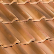 Truva Ateşi Akdeniz