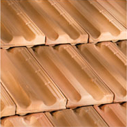 Truva Ateşi Valensiya